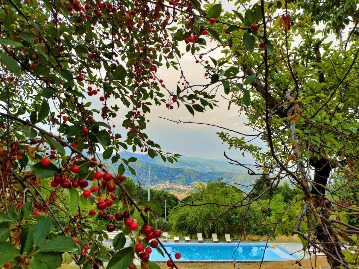 Agriturismo Borgo Biaia Camporgiano Eksteriør billede